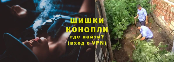 МДМА Гатчина