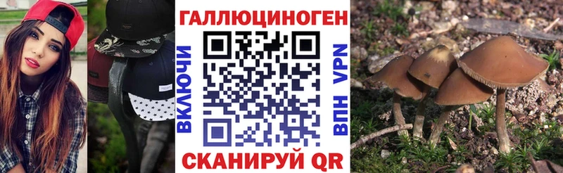Псилоцибиновые грибы Magic Shrooms Каневская